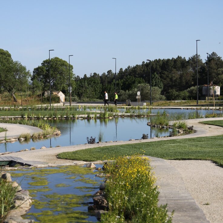 Lago ornamental biológico-parque verde