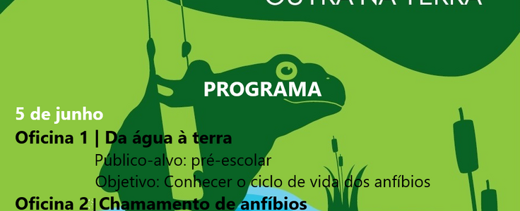 Cartaz_Programa
