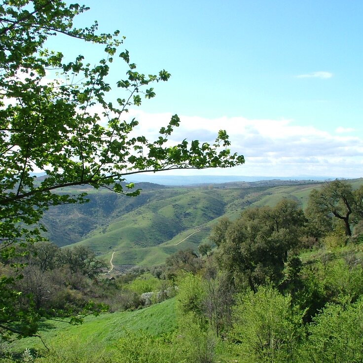 Serra de Bornes