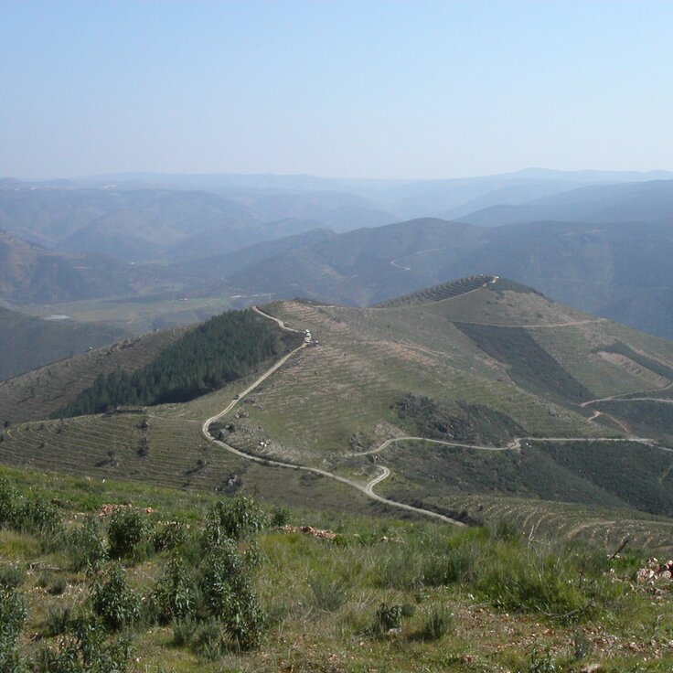 Serra de Bornes 