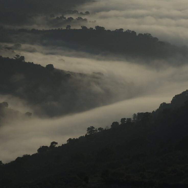 Serra de Bornes