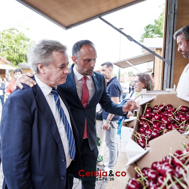 0000024NunoPintoFernandesEstúdio 