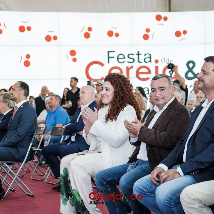0000173NunoPintoFernandesEstúdio 