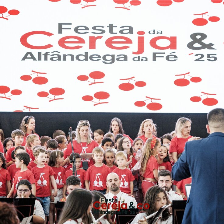 0000227NunoPintoFernandesEstúdio 