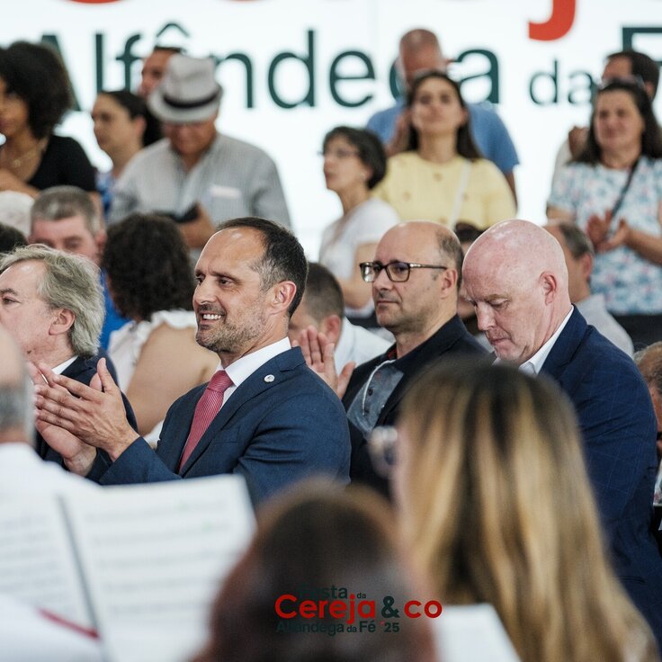 0000245NunoPintoFernandesEstúdio 