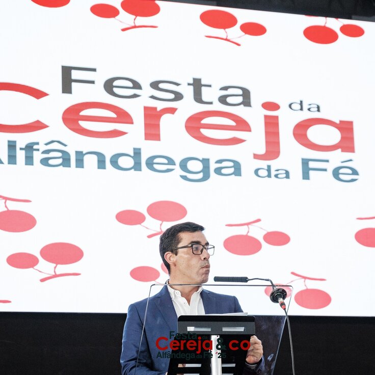 0000341NunoPintoFernandesEstúdio 