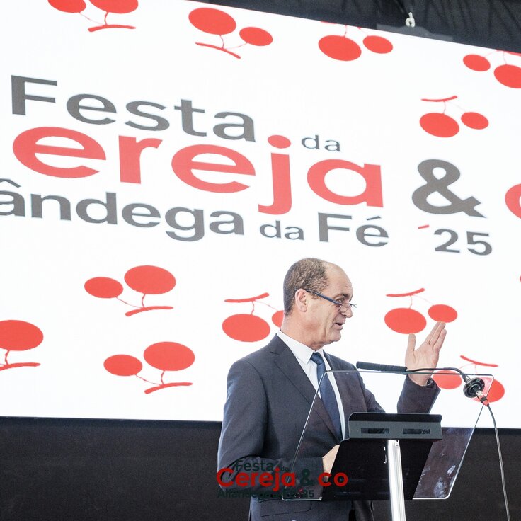 0000287NunoPintoFernandesEstúdio 