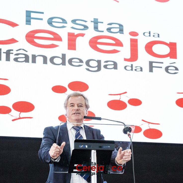 0000437NunoPintoFernandesEstúdio 