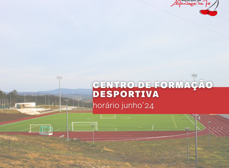 cfd_junho