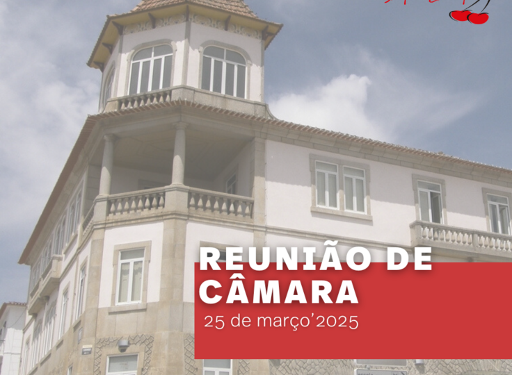 copia_de_copia_de_proxima_reuniao_de_camara__post_para_instagram___post_do_facebook___historia_do...