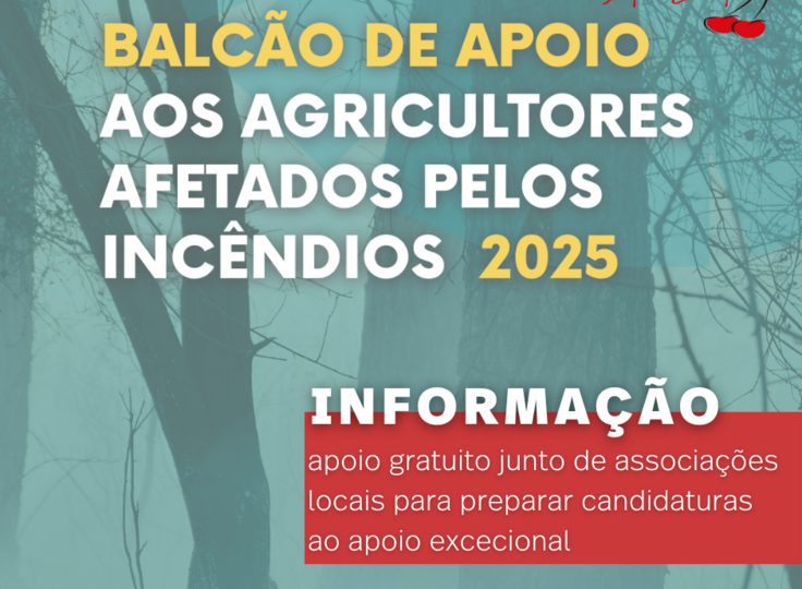 copia_de_copia_de_copia_de_copia_de_proxima_reuniao_de_camara__post_para_instagram___post_do_face...