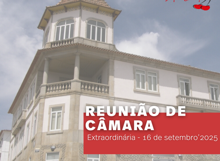 copia_de_copia_de_copia_de_proxima_reuniao_de_camara__post_para_instagram___post_do_facebook___hi...