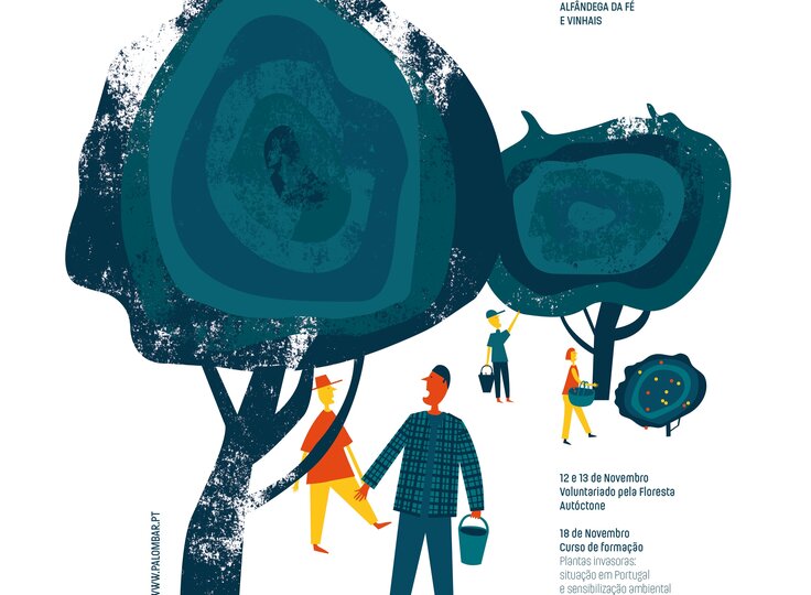 novembro_na_floresta