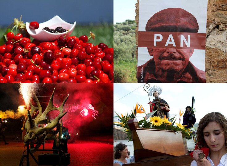 culturas_1_1024_2500