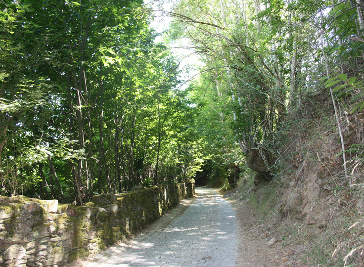 serra_de_bornes