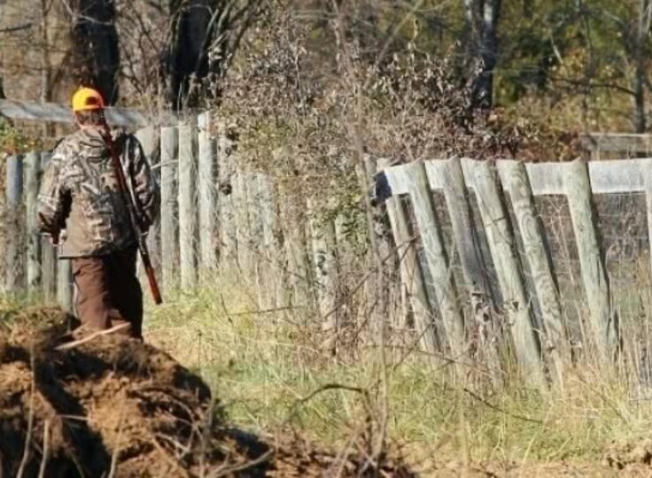 como-renovar-a-licenca-de-uso-e-porte-de-arma-de-caca-fb