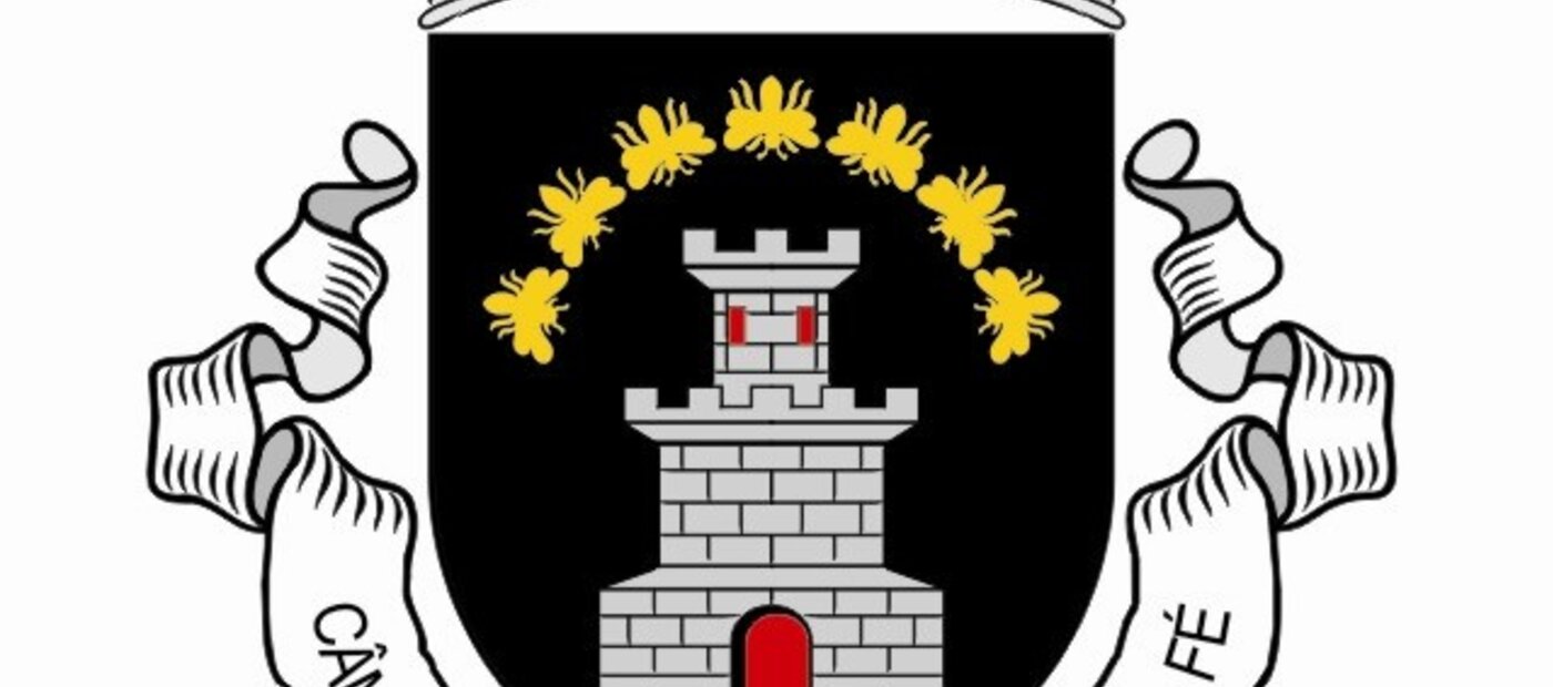 brasao_cm_alfandega_da_fe