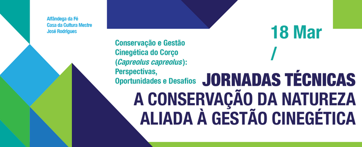 Facebook cover corco  1  1 736 300