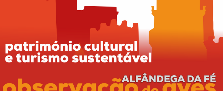 17192480 1555681687793344 3032624441951175187 o 1 736 300