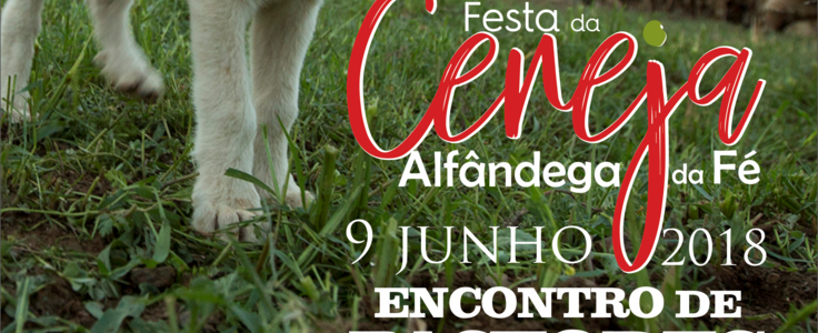 Encontro de pastores v4 1 736 300