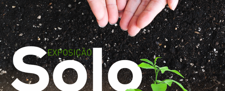 Cartaz  1  1 736 300