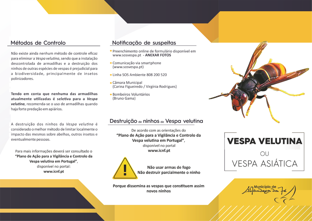 TRIPTICO VESPA VELUTINA_final_f1