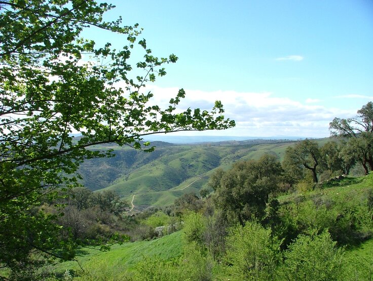 colmeais e covelas_paisagem