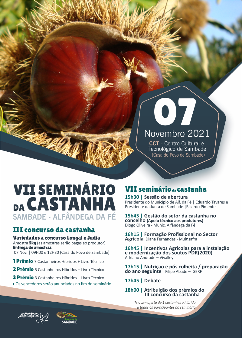 seminário da castanha 2021