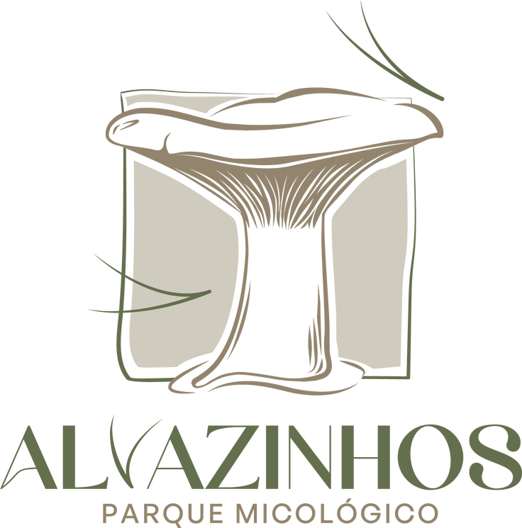 Logo Alvazinhos_COR