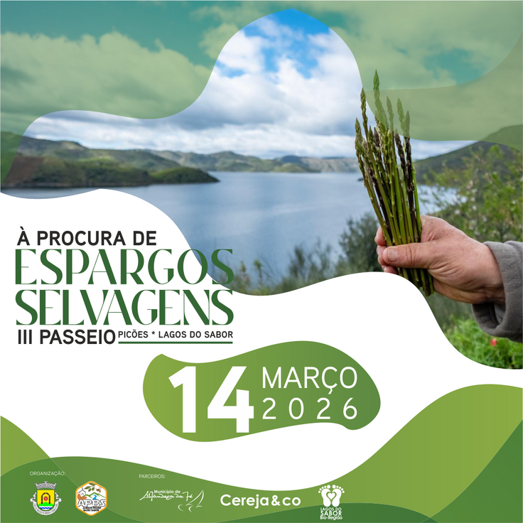 &agrave; procura de espargos selvagens_inst_fb