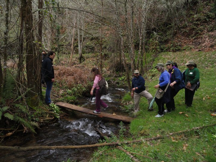 152283258168295 1 1024 2500