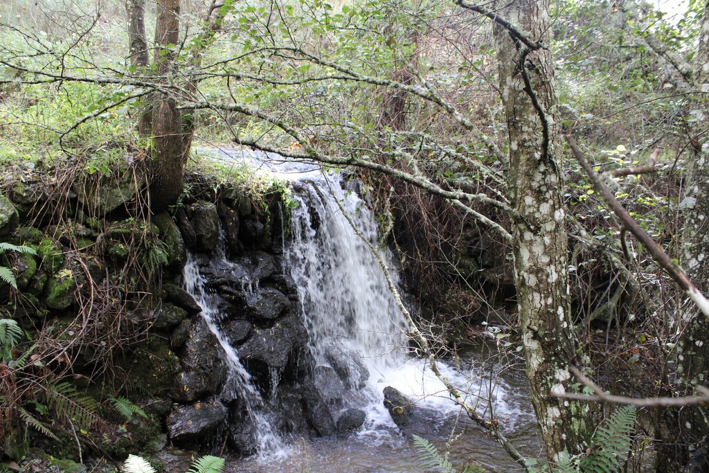 Trilho das castanhas rabo de burro 26.10  25  1 1024 2500