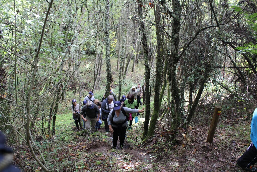 Trilho das castanhas rabo de burro 26.10  26  1 1024 2500