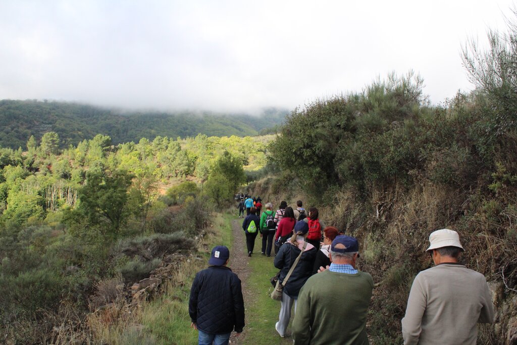 Trilho das castanhas rabo de burro 26.10  12  1 1024 2500