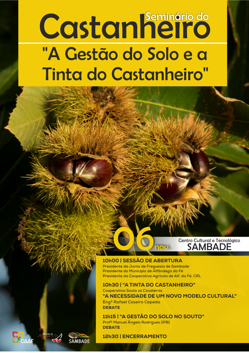 Castanheiros 1 1024 2500