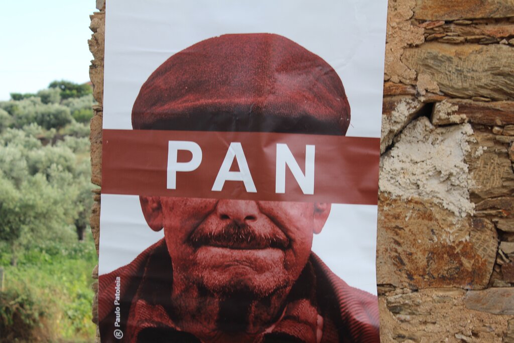 Img 1156 1 1024 2500