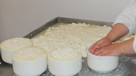 Queijos bravo 1 736 2500 1 1024 2500