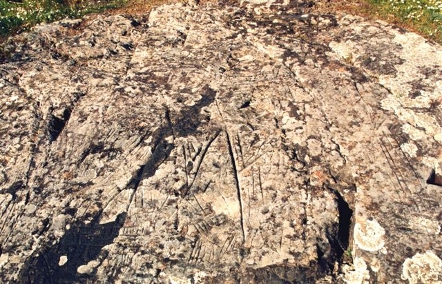 Pedra escrita de revides 4b7469a5bc6f4 1 736 2500